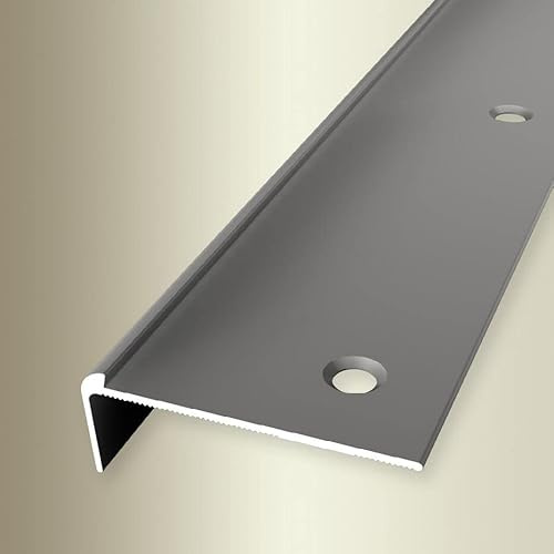 PROVISTON | Treppenkantenprofil | Breite: 48 mm | Höhe: 2.5 mm | Länge: 1000 mm | Aluminium eloxiert | Edelstahl | Versenkt Gebohrt
