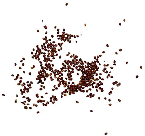 Generic Semillas de fresa gigantes, 20/100 piezas Semillas de fresa gigantes Demanda de humedad Cultivos de alto contenido de fibra Yarda No OGM Semillas de fresa gigantes para jardín 100pcs