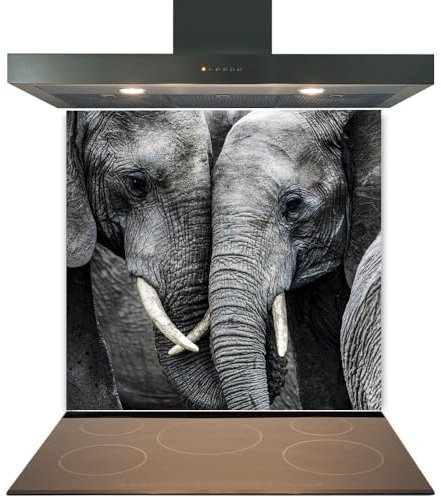 Printed Toughened Glass Splashback for Kitchen, Tempered Heat Resistant Glass Splashbacks for Cookers (Design 2040, 60 x 60cm)