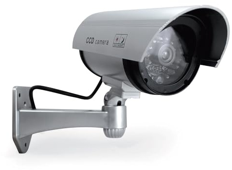 Avidsen - Kamera – Security Cameras (mit Kabel, Außen, Schwarz, Silber, Wand), Verwendung: Außen oder Innenbereich, wetterfest, Kontrollleuchte – 123054