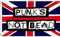 AZ FLAG - Flagge Punker Not Dead - 90x60 cm - Punks Not Dead Fahne 100% Polyester mit Messing-Ösen - 50g