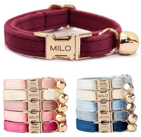 CHRYMPETIC Nicht Abnehmbares Samt Katzenhalsband Personalisiert mit Namen - Personalisierbares Halsband mit Glöckchen und Fliege Verfügbar (Weinrot)