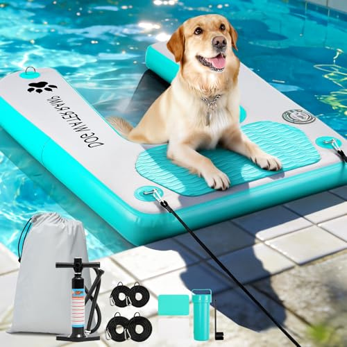 Hundewasserrampe Extra Breite Wasserrampe Pool Leiter, Float Welpen Planke für Pool, Dock & Boot, Hundebootrampe mit Rutschfesten Upgraded Steps, Wasserrampe Leiter für 68kg Hunde Klettern Blau