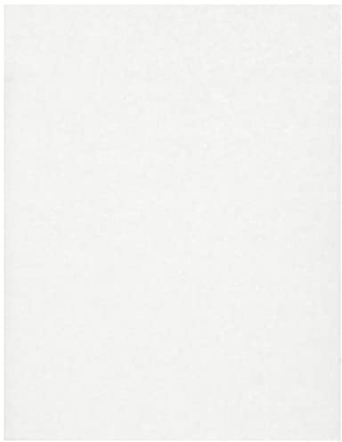 Lot de 1 000 feuilles de papier sulfurisé blanc par Genware NEV-PN1487S - 25 cm x 20 cm