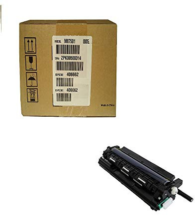 Ricoh Schwarze Fotoleitereinheit
