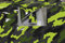 Könighaus (9,84€/m2) Jungle Camo II 200 x 152 cm blasenfrei mit Anleitung (Camouflage Autofolie)