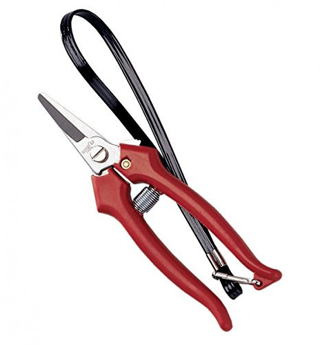 AUSONIA - 31320 Ernteschere Blumenschere Leseschere Gartenschere für Blumen CM 15