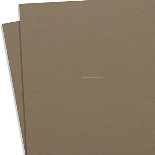 KYDEX Hoja termoformada – (textura P1) – (0.080 grosor) – (8 x 12 pulgadas) – (resorte plano de tierra oscura) – (2 hojas) – Fabricación de funda de bricolaje, armadura de airsoft, uniformes de