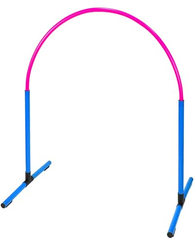 SPORTIKEL24 Hoopers Hoop – wetterfest, VDH-konform & farbig – mit Stecksystem für sicheres Hundetraining – aus robustem Kunststoff – Flexibler Hundesport-Reifen mit Stecksystem – Blau/Pink