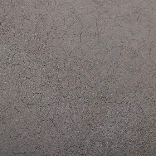 Clairefontaine 93862C Packung (mit 25 Bögen Zeichenpapier Etival Color, DIN A4, 21 x 29,7 cm, 160g, gekörnt, ideal für Trockentechnik und Einrahmen) graumeliert