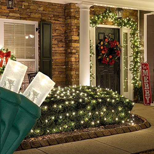 Wintergreen Lighting Set of 100 Warm White LED Net Lights - Christmas Outdoor Decorations, Green Wire (4 x 6 ft, 5mm Lights)