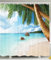 PETGOOD Duschvorhang Palmen auf Tropical Island Beach Panoramablick Drucken viele schöne Duschvorhänge zur Auswahl, hochwertige Qualität, Wasserdicht, Anti-Schimmel-Effekt 180 x 200 cm