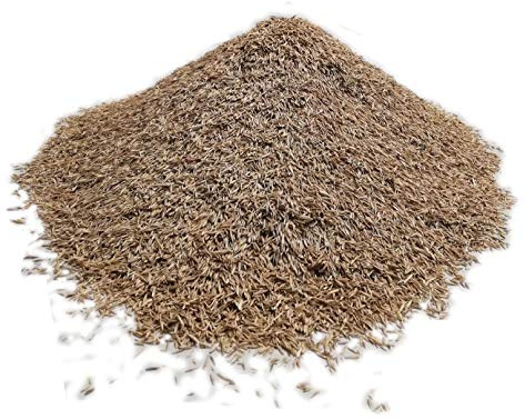 Samenshop24® RSM-Rasensamen 7.2.1 Trockenrasen o. Kräuter 1kg für 50m²
