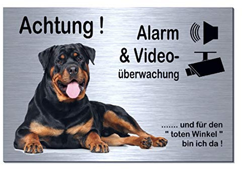 Rottweiler-Alarm-Video-Überwachung-Hund-30 x 20 cm-Schild-Hundeschild-Aluminium Edelstahloptik-Hunde-Tierschild-Warnschild-Hinweisschild 133-4 (133-4 -300 x 200 x 3 mm mit Klebepads)