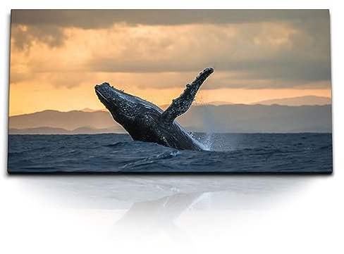 Paul Sinus Kunstdruck Bilder 120x60cm Buckelwal Wal Meer Ozean Horizont Sonnenuntergang Berge