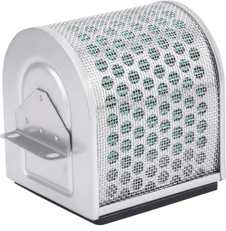 Road Passion Filtri Aria 180100120-0001 Compatibile con Voge VALICO 500 DS 500 2020 LPR1A / VALICO 500 DS EURO5 500 2021 VPR1J / VALICO 500 DSX EURO5 500 2021 2020 VPR1K