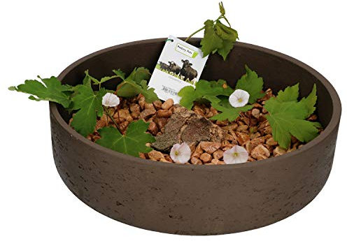 Pottery Pots Ethan Bol décoratif en fibre de verre fait à la main en pierre et béton Marron foncé Taille XL Pour intérieur et extérieur Résistant aux intempéries