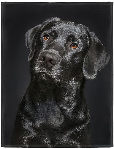 HommomH Schwarze Hundedecke mit wunderschönem Labrador-Foto, weicher flauschiger Fleece-Überwurf 152,4 x 203,2 cm, Schwarz