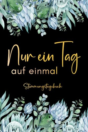 Nur ein Tag auf einmal: Stimmungstagebuch für Erwachsene und Jugendliche