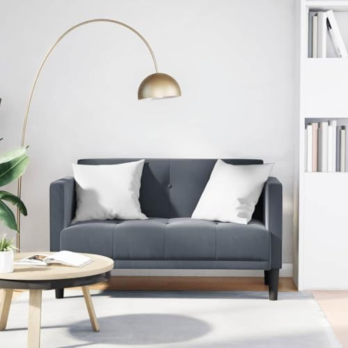 Bucmath Two Seater Sofa Dark Grey, 111 cm Velvet, Comfortable Couch for Living Room, Robust Furniture with Plywood Frame, Stylish Upholstered Furniture