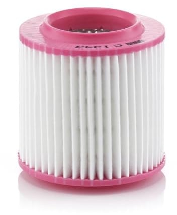 MANN-FILTER, C 1343 Luftfilter | Für PKW, Saubere Luftzufuhr, Langlebiges Filtermedium, Passgenaues Design, Echte OE-Technologie