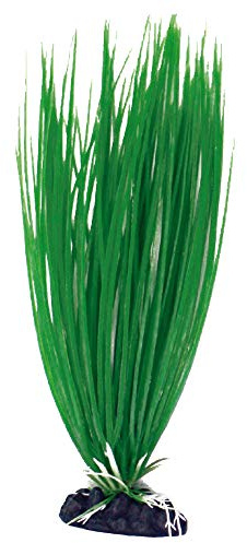 Amtra Deko Plant Acorus - Decorazione pianta Finta atossica per Acquari, Accessorio Ornamentale subacqueo, Decorativo rifugio nascondiglio, Dimensione 35 * 12,5 * 3,5 cm