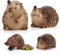 Garten Igel Deko Gartenfiguren niedlichen Igel Figuren Wetterfest Gartentiere Figuren Gartenfigur Tierfigur Garten Tierfiguren Deko Skulptur Gartendeko Outdoor Garten Ornamente Für Garten Und Terrasse