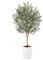 VeriNatural Olivier Artificiel 180cm-Grande Plante Artificielle d'Intérieur et Extérieur, Fausse Arbre avec Pot en Plastique Tressé Blanc&Résistant aux UV-Décoration pour Maison,Balcon,VN133