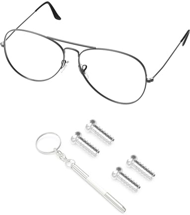 PapaViva 2 Pairs Replacement Temple Screws Set for Ray-Ban RB3025/RB3549/RB3533/RB3293/RB3569/RB3519/RB3506/RB3445/RB3478 Sunglass - Silver (Flat Phillips)