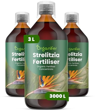 Fertilizzante Liquido Per Strelitzia - 3x1L - NPK 2-1-8
