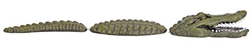 Design Toscano Furchtloser schwimmender Alligator, Skulptur