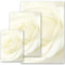 50 Blatt Briefpapier Blumenmotiv, Rosenmotiv WEISSE ROSE - DIN A4 Format | Paper-Media