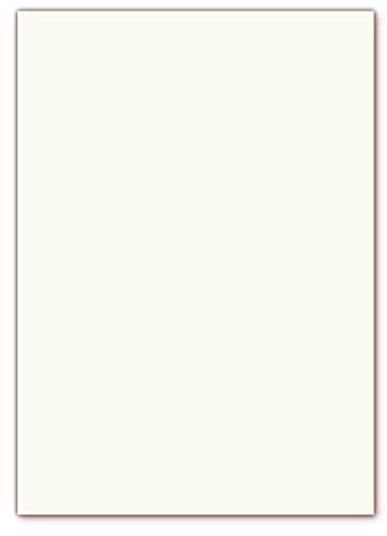 100 x GOHRSMÜHLE Premium Briefpapier im DIN A4 Format (210 x 297 mm) Grammatur 110g/m² mit echtem Wasserzeichen, Farbe matt weiß leicht cremefarben