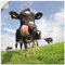 ARTland Wanddeko Wandtattoo selbstklebende Vinylfolie 70x70 cm Kuh Tiere Zunge Lustig Süß Landhaus Bauernhof T5WJ