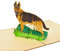 Rykamia Pop-Up-Karte mit Deutschem Schäferhund, 15.2 x 15.2 cm, 3D-Hunde-Geburtstagskarte, Genesung, Glückwunschkarte, Dankeschön, Jahrestag, Just Because Weihnachten, Ehemann, Familie