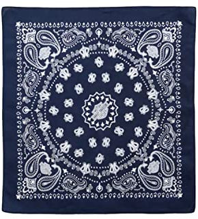 HARLEY-DAVIDSON Mund-Nasen-Bandana American Heritage Biker Motorrad Halstuch Biker Schal Multifunktionstuch Kopftuch