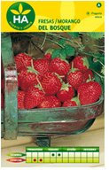 SEMILLAS FRESAS DEL BOSQUE SOBRE