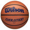 Wilson Evolution Game Basketball