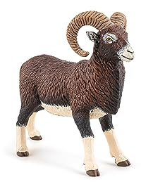 Papo - Realistische Mufflon-Figur - 3 Jahre + - Kollektion Wilde Tiere - Lernspiel Bergtiere - Geschenkidee Spielzeug für Mädchen und Jungen