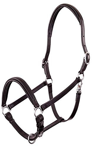 BR Premiere Lederhalfter Florennes - Size COB