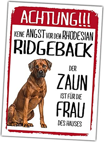 Rhodesian Ridgeback Dog Schild Achtung Zaun Frau Spruch Türschild Hundeschild Warnschild Geschenkidee lustiger Spruch Hundemotiv Aluminium Wetterfestes Hundeschild