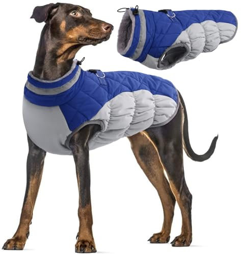PUMYPOREITY Hundemantel Winter, Wasserdicht Hundejacken Große Hunde Weste Warm Winddicht Hundejacke Fleece Haustier Bekleidung Reflektierend Winterjacken mit Leine Loch(Blau, L)