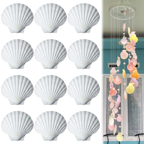 GBKDQQ 12 Stück Weiße Jakobsmuscheln: Große Weiße Muscheln Deko Muscheln Natürliche Jakobsmuscheln für KüChendekoration Aquariumdekoration Osterdekoration DIY Basteln Hochzeit (10-11cm)