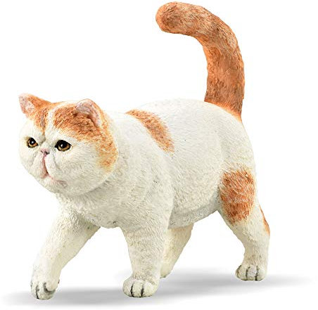 Collecta Egzotyczny krótkowłosy/Exotic Shorthair KOT