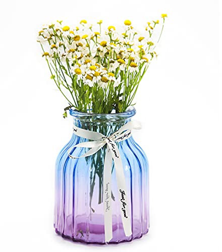 OFFIDIX Glasvase Gradient Multicolor Vase, Zuhause, Büro, Wohnzimmerdekoration Glasblumenvase (Blau Lila)