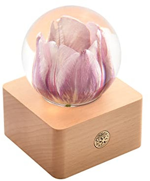 Dr. Pets Miss Li Garden Boule de Cristal Tulipe Rose éternelle avec lumières LED, pour sa Femme, Petite Amie, Femme