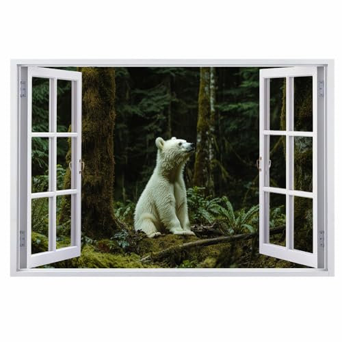 3D Wandtattoos Durchbruch Wandbild Bär Tier Kinderzimmer Aufkleber Wandaufkleber Wald Baum Natur Wandsticker für Kinderzimmer Junge Mädchen Teenager Zimmer Wohnzimmer Schlafzimmer