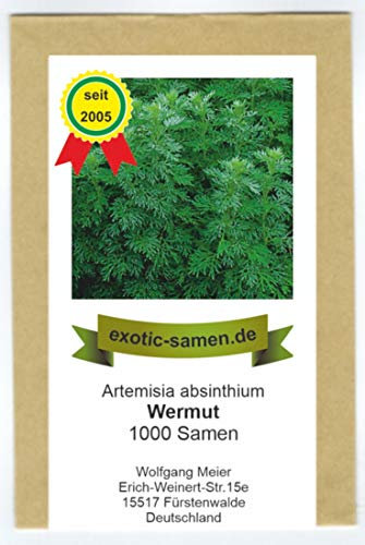 Wermut - Artimisia absinthium (1.000 Samen)
