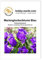 Blumensamen Marienglockenblume Blau Portion
