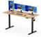 SANODESK 160 x 80cm Electric Standing Desk ONE PIECE Height Adjustable Desk Sit Stand Table Home Office Desk with 4 Height Memory Pre-Sets Smart Pannel and Hooks for Work, (Black Frame+Maple Desktop)